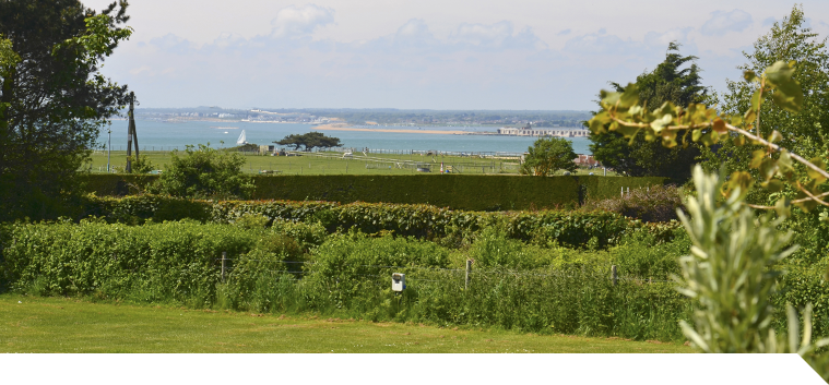 Isle of Wight camping park gallery